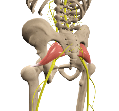 Piriformis Syndrome